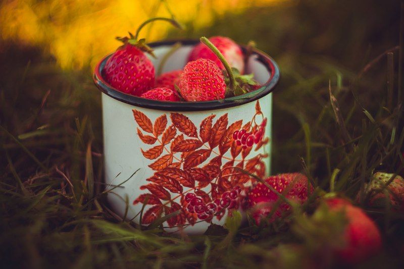 лето, клубника, ягоды, гелиос 44-2, деревня Дары лета фото превью