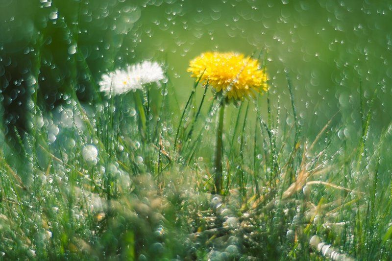 С милым и под дождём рай фото превью