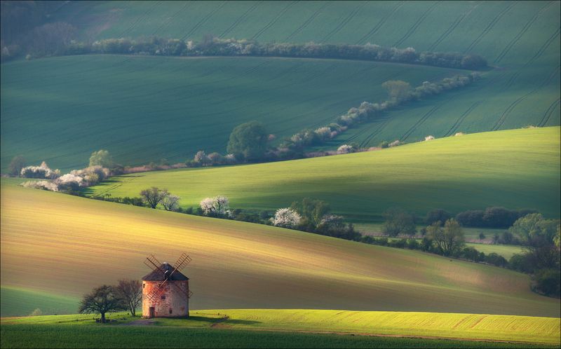 Чехия, Южная Моравия, весна, мельница, Czech, South Moravian, mill, spring, формы, цвет, линии,  Провинциальная идиллия ... фото превью