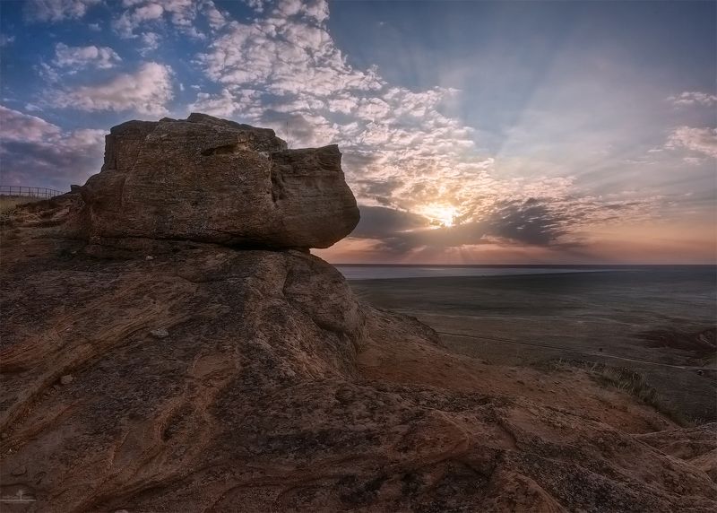 Планета обезьян фото превью