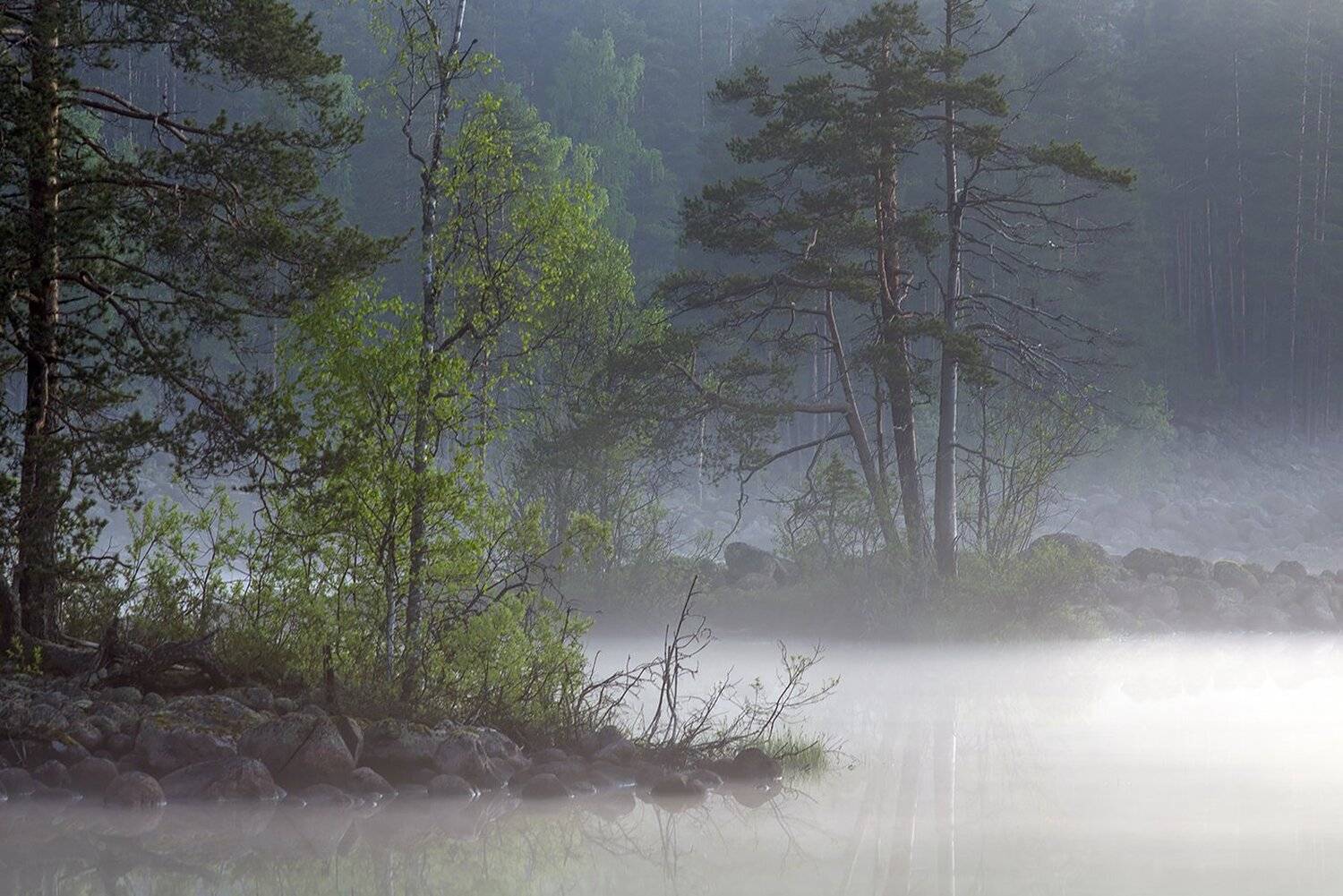 карелия, Виктор