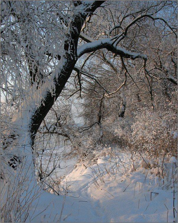 , Сергей Фудиненко