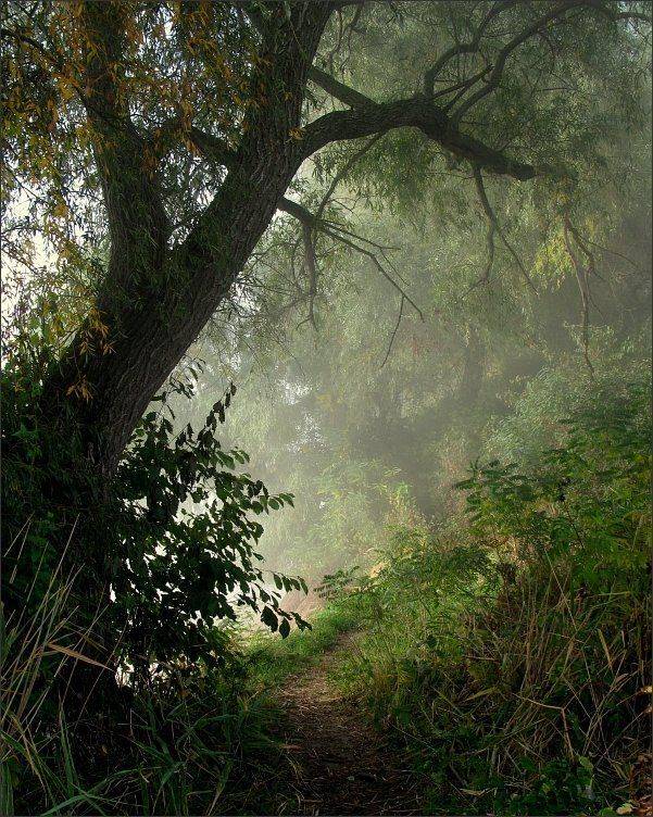 , Сергей Фудиненко