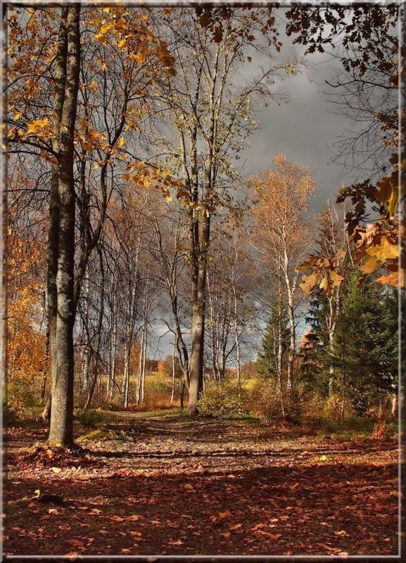 zashurshala opavshaja listva... фото превью