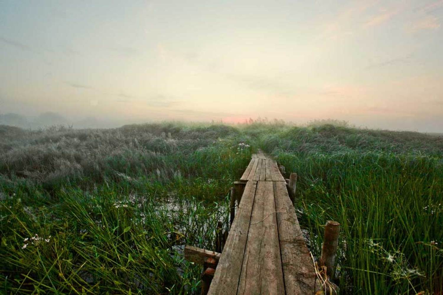 , Жаров Андрей