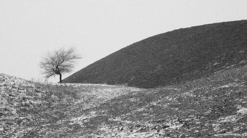 природа, первый снег, одиночество одиночество... фото превью