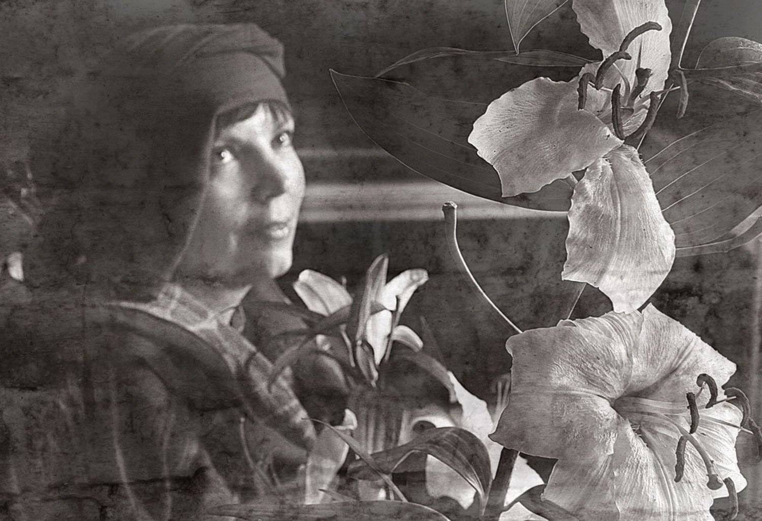 лилии, ахматова, стихи, портрет, Anastasia Aymilios