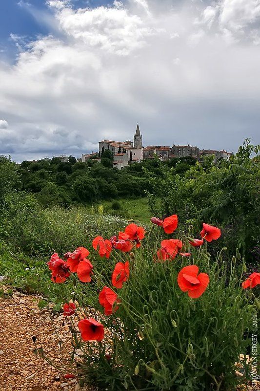 Bale. Хорватия. фото превью