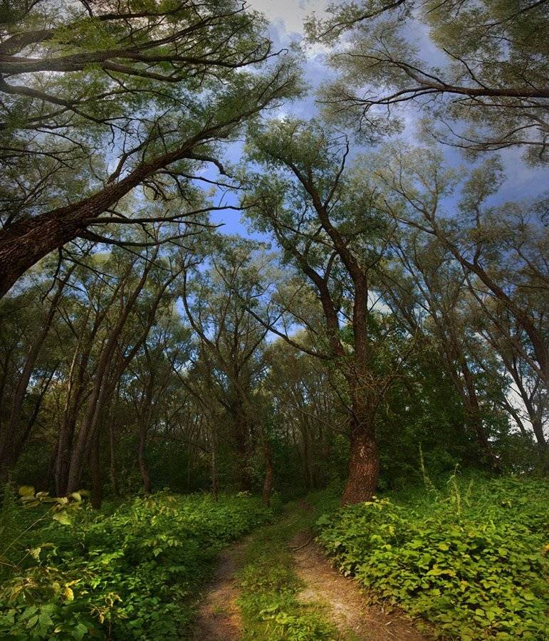 , Артём Маковский