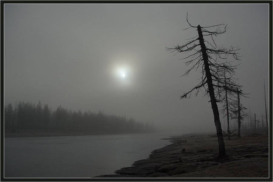 солнце, тайга, река, предзимье, север, Солодухин Виктор