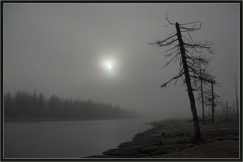 солнце, тайга, река, предзимье, север Звезда по имени Солнце фото превью