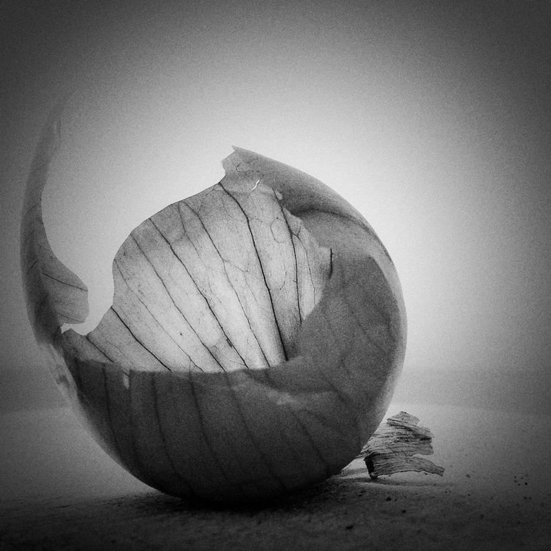 (o фото превью