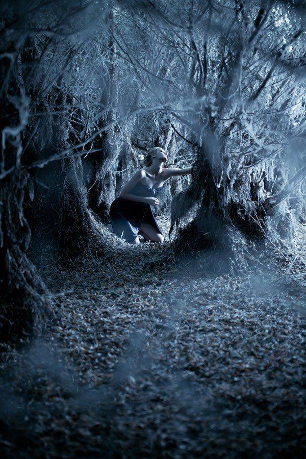 , Виталий Тимкив