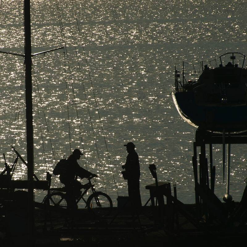 пейзаж, николай дмитрук