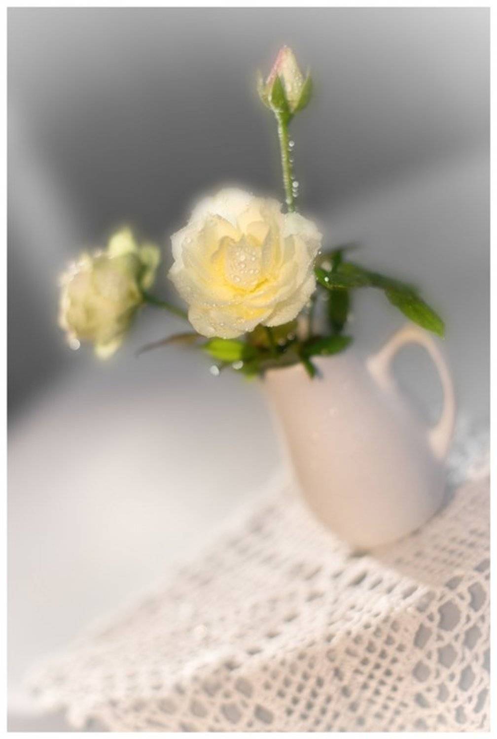 , Екатерина Литау