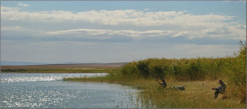 природа Здесь третий...лищний..... фото превью
