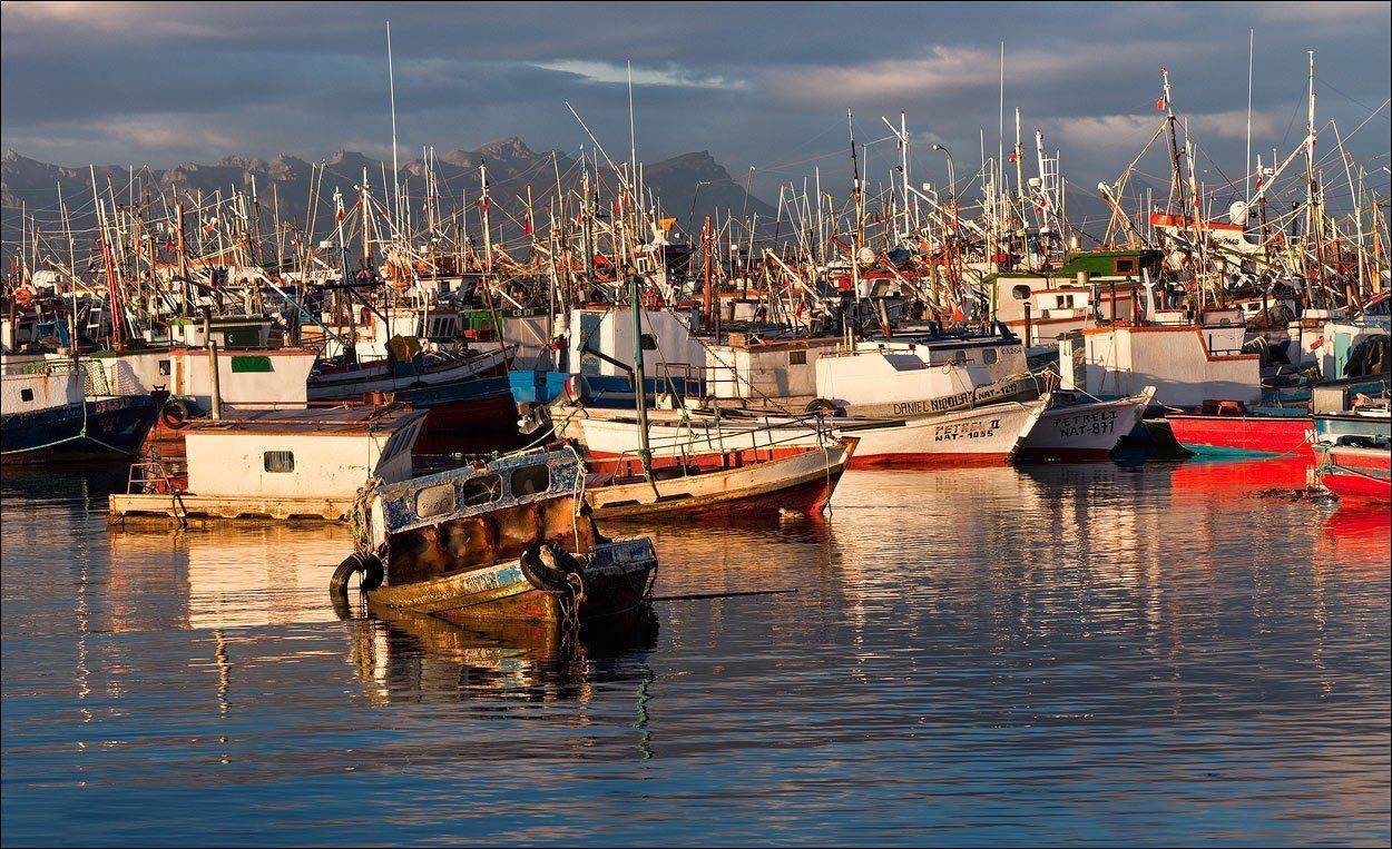chile, puerto, natales, izh Diletant (Валерий Щербина)