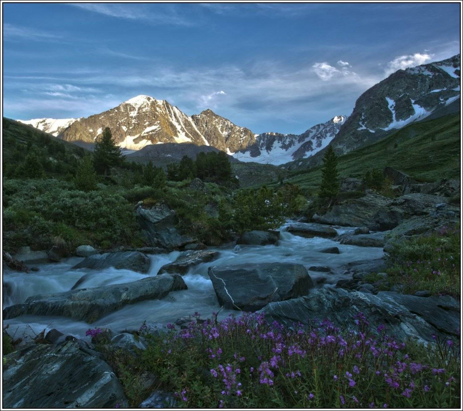 алтай, катунский, SnaggyWolf