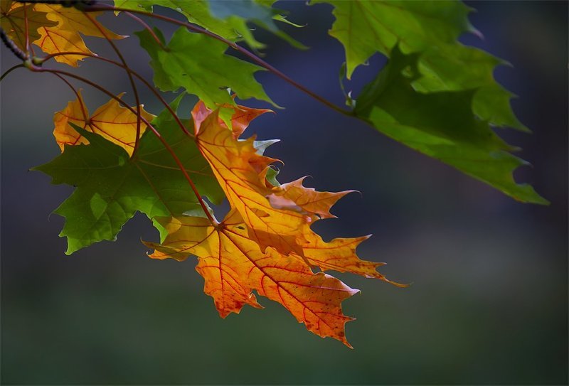 По сообщениям ГидроМетЦентра......... фото превью