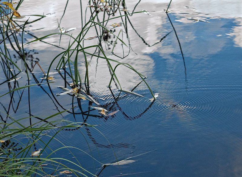 вода, небо, облака, муха Когда безумно хочется жить. фото превью