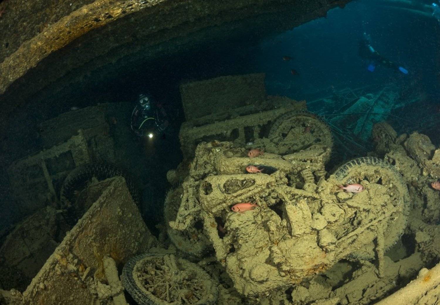 красное море, тистельгорм, Андрей Макеев