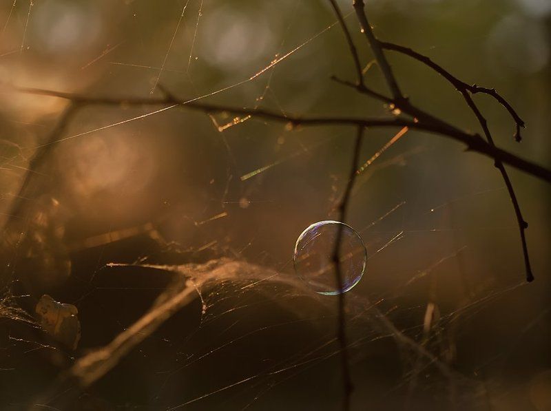 Осенний,хрупкий сон... фото превью
