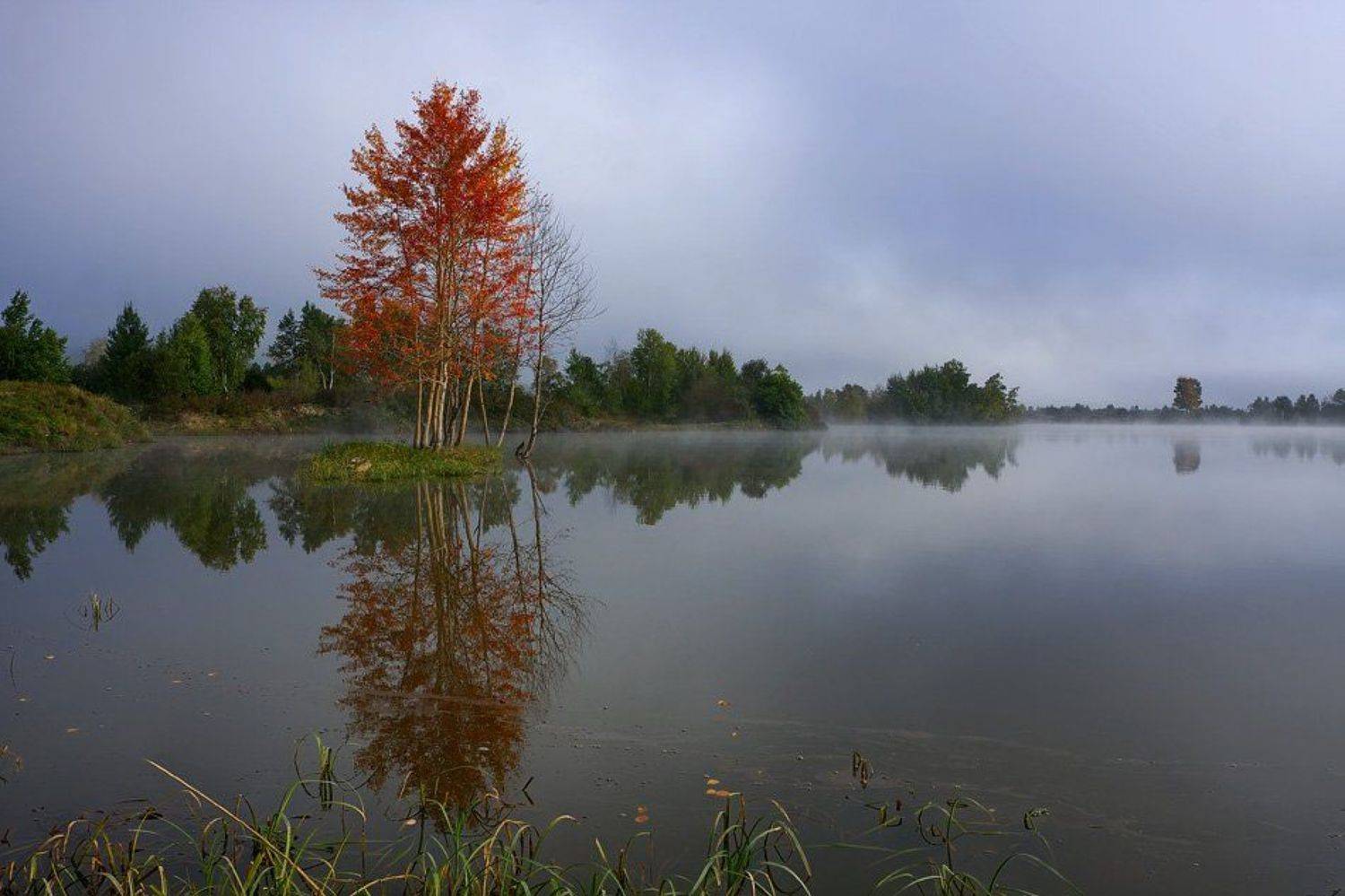 осень, туман, Виктор Бут