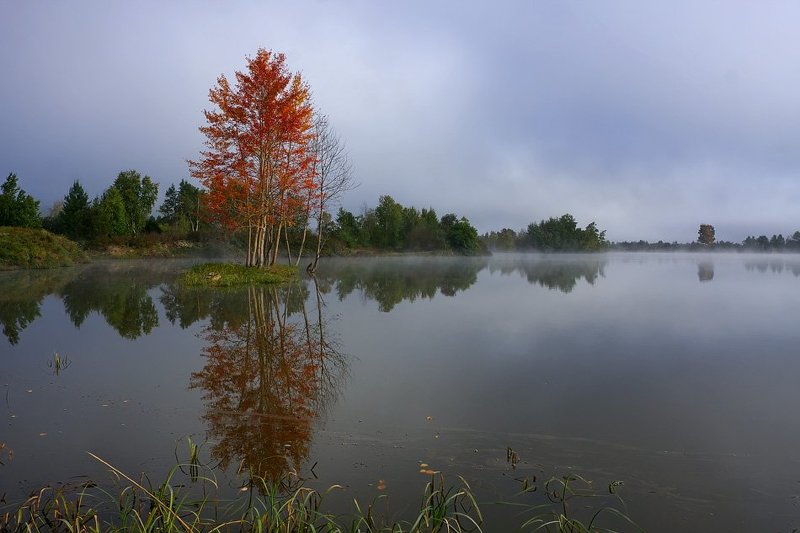 осень, туман Когда уходит туман фото превью