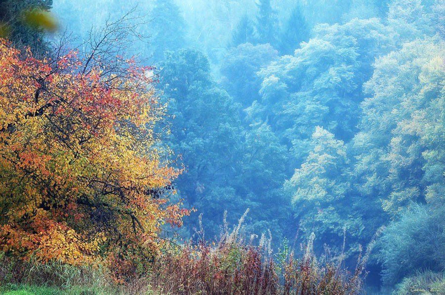 осень, природа, зарисовка, етти