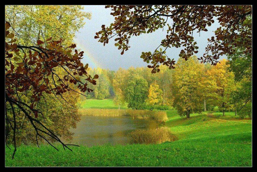 павловск, Максим Гераськин