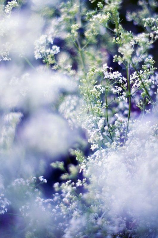 Сказочки фото превью