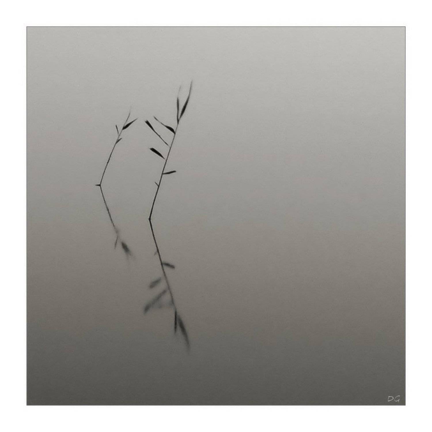 вода, озеро, минимализм, D.G.