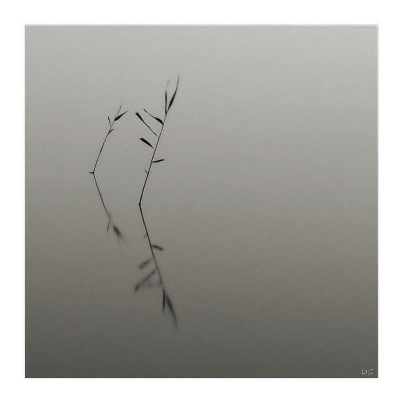 вода, озеро, минимализм Танцы на воде ... (Красота в простом) фото превью