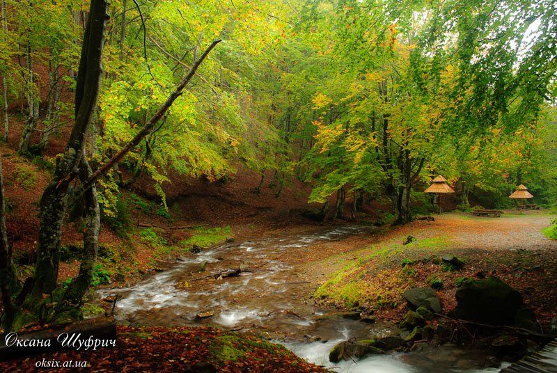 первая осень фото превью