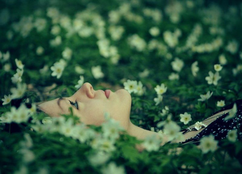 Пробуждение фото превью