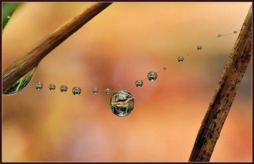 Для милых дам.