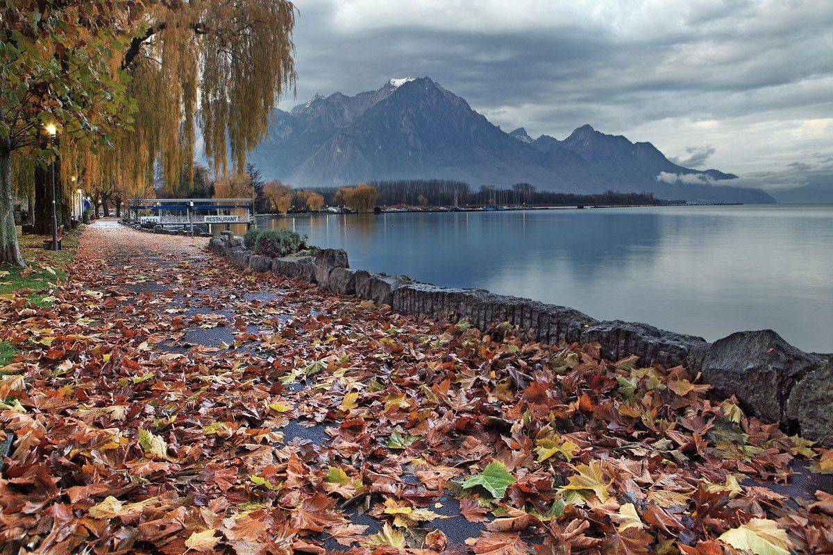 швейцария,вильнов, Матвеев Николай