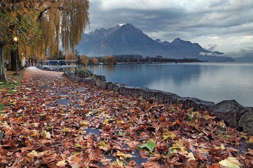 Про осень...