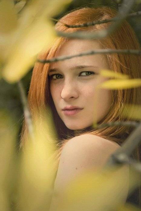 , Бархотница