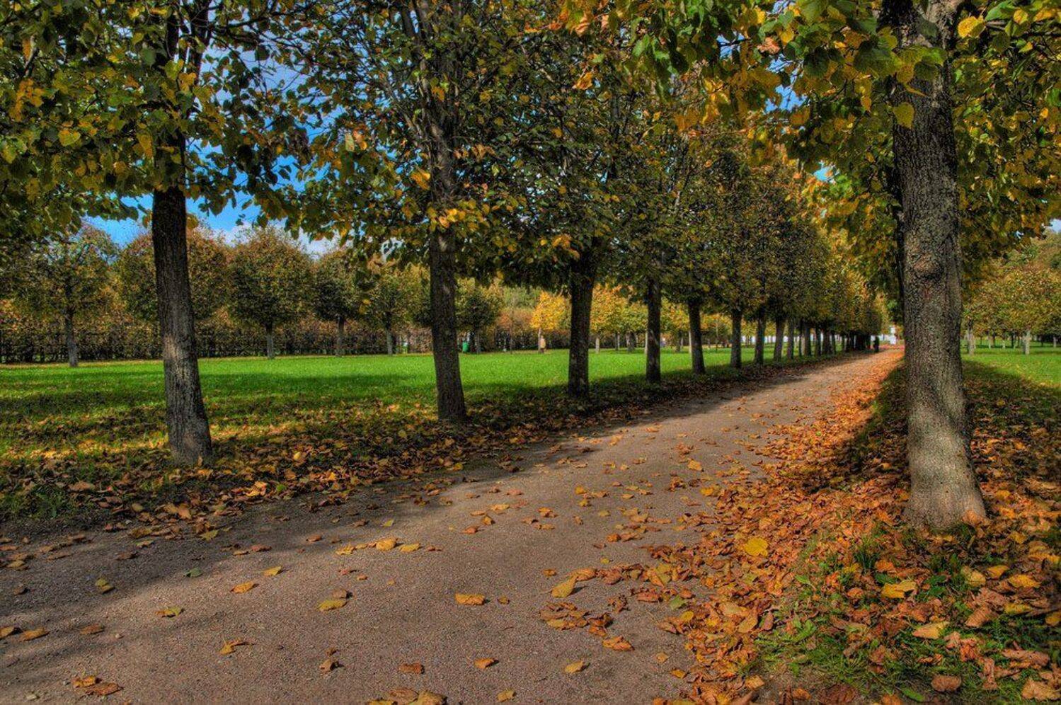 осень, Dmitry D.Orange