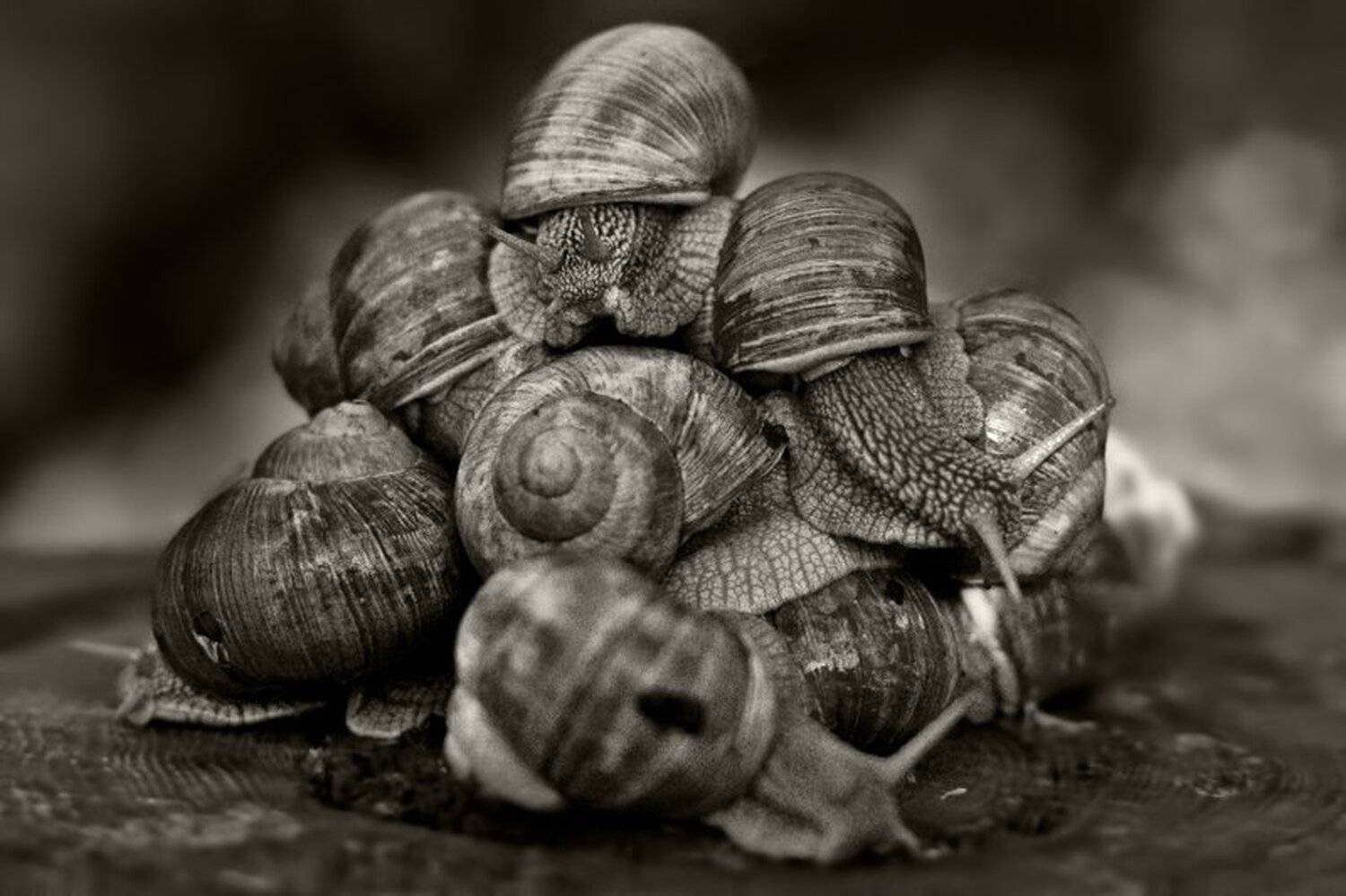 , василий астахов