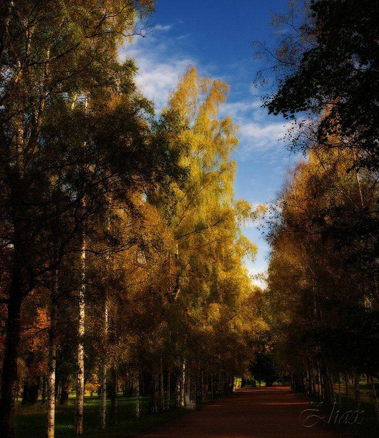 осень, парк, пейзаж, природа, Малыш