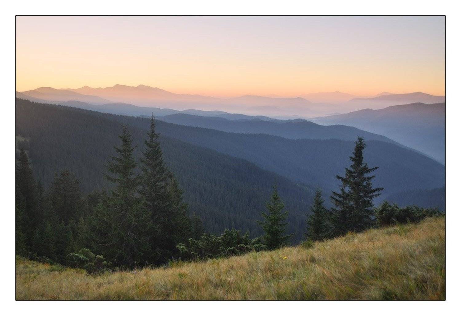 , Денис Кривой