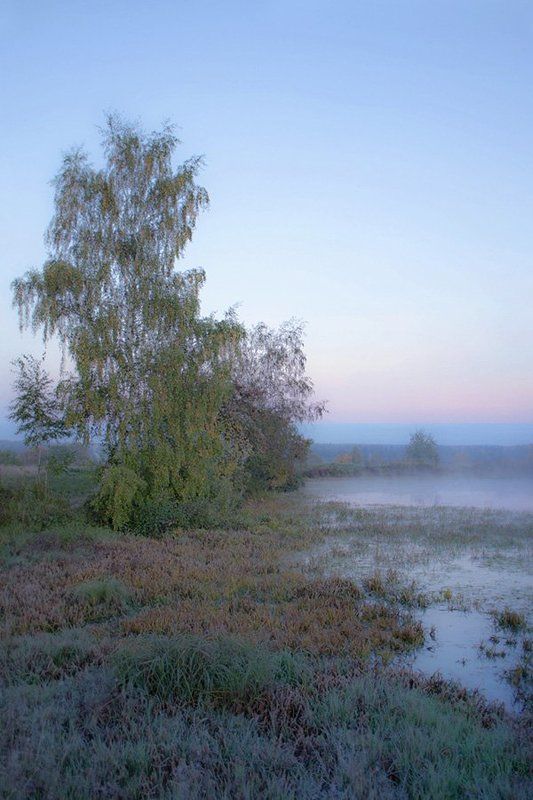 ...Уж небо осенью дышало... фото превью