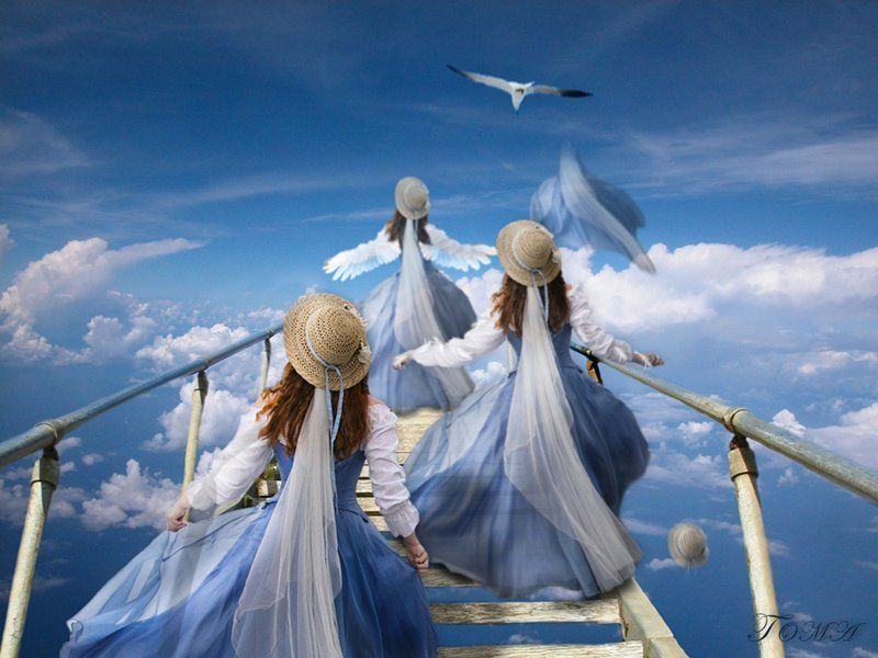 Желание свободы фото превью