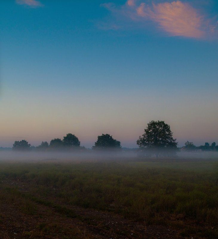 Утренние спокойствие , просыпалась земля фото превью