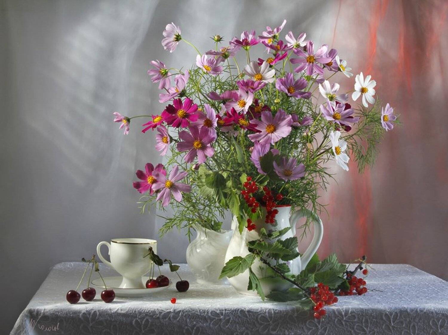 цветы,космея,ягоды,смородина,вишня,лето, Игорь Колосов