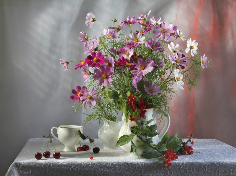 цветы,космея,ягоды,смородина,вишня,лето Салют... фото превью