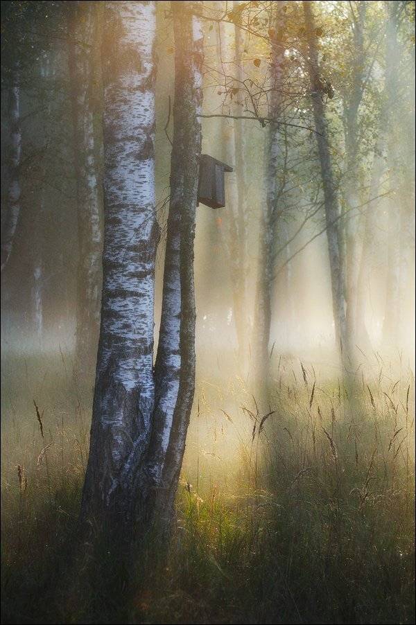 , Владимир Кириллов