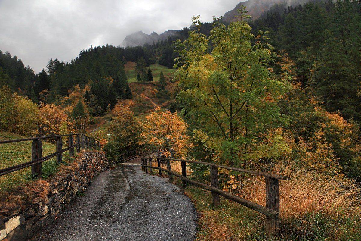 швейцария,лейкербад, Матвеев Николай